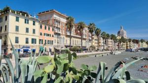 vistas a una calle con edificios y plantas en A Due Passi Dal Mare - Pegli, en Génova