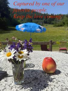 Fotografie z fotogalerie ubytování Poschiavo Maiensäss auf 1400m v destinaci Le Prese