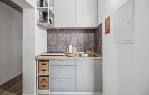 Η κουζίνα ή μικρή κουζίνα στο Gorgeous Apartment In Oberhof With Wifi - Dth314
