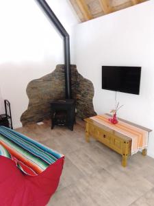 a living room with a fireplace and a flat screen tv at La Loge de Fleur in Anglars-Saint-Félix