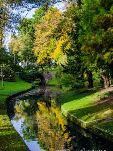 Naturlandskabet i nærheden af feriehuset