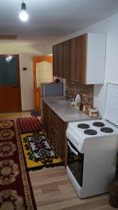 a kitchen with a stove and a counter top at Motina River Guesthouse in Tropojë +40 photos