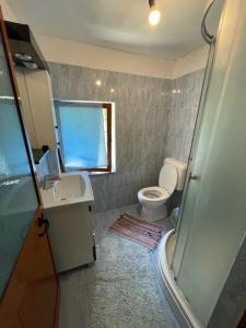 a bathroom with a toilet and a sink and a shower at Motina River Guesthouse in Tropojë
