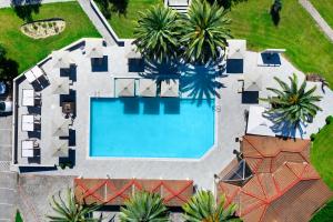 Bazén v ubytování Iris Hotel nebo v jeho okolí