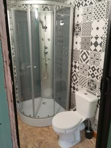 a bathroom with a toilet and a shower at Écrin de tranquillité in Rosières-en-Santerre +30 photos