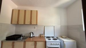 Kuchyň nebo kuchyňský kout v ubytování Family apartment Krivokapic + 2 fotografie