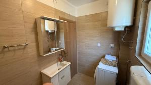 Koupelna v ubytování Family apartment Krivokapic
