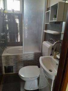 a bathroom with a white toilet and a sink at Apartments Samaržija- new 63 not 47 in Bibinje +17 photos