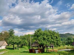 a field with a tree and a gazebo at RETREAT MOUNTAIN CASA TRADIȚIONALĂ,Roşia Montana in Roşia Montană
