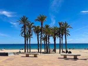 a beach with palm trees and benches and the ocean at Casita de Pescadores en La Costera in Villajoyosa