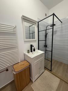a bathroom with a sink and a shower at Vadim's guesthouse in Sibiu