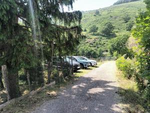 Příroda nedaleko bed and breakfast