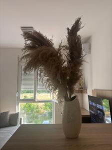 ポドゴリツァにあるApartments Masaの花瓶