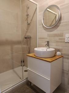un bagno con lavandino e doccia di Appartement Hestia F1 bis + terrasse hyper centre a Lons-le-Saunier