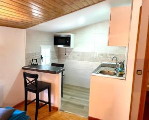 a small kitchen with a counter and a sink at Apartamentos Pico Almanzor in Hoyos del Espino