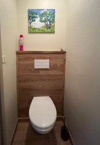 a bathroom with a white toilet with a painting on the wall at La Maison Saint-Martin in Agonac +14 photos