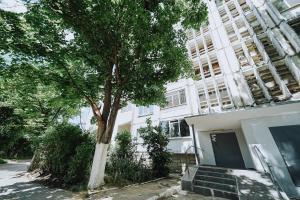 a white building with a tree in front of it at Central 1BR Near Piața Centrală & Bus Station in Chişinău