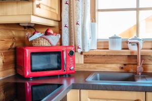 A kitchen or kitchenette at Almhütten Skorianz