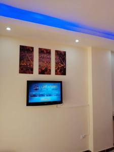 TV a/nebo společenská místnost v ubytování Cecelia Beach Resort Furnished Chalets for Rent
