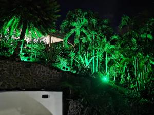Giardino di Large Beautiful Villa with Ocean Views and private pool - 3 Bedroom Listing