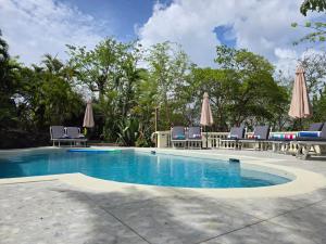 una piscina con sedie e ombrelloni di Large Beautiful Villa with Ocean Views and private pool - 3 Bedroom Listing a Cap Estate