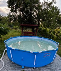 a blue tub filled with water on top of a table at Apartment in Balatonbereny 40988 in Balatonberény