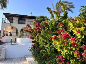 ErimiにあるVILLa EUMELIAのギャラリーの写真 +53枚の写真