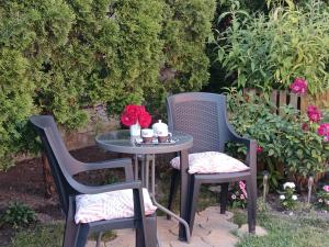 Zahrada ubytování Hársfa apartman
