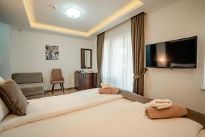 TV in/ali zabaviščno središče v nastanitvi Villa Sofija