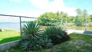 Vườn quanh See Belize WATERSIDE Sea View Apt for 6 with Kitchen, Balcony, Infinity POOL & Overwater Deck, 2nd Floor