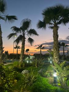 シディ・ラハルにあるSeaside escape beautiful garden apartmentの夕日の公園のヤシの木 +15枚の写真