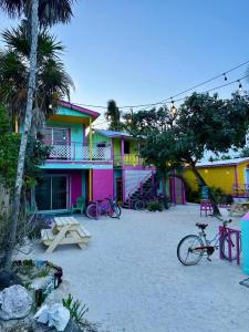 a colorful house with bikes parked in front of it at Barefoot Beach Belize in Caye Caulker