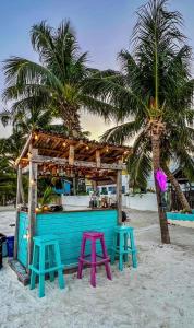 a bar on the beach with stools and a palm tree at Barefoot Beach Belize in Caye Caulker