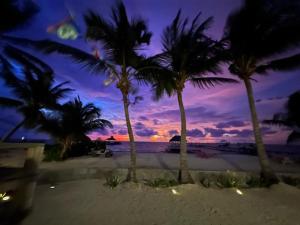 a group of palm trees on a beach with a sunset at Barefoot Beach Belize in Caye Caulker
