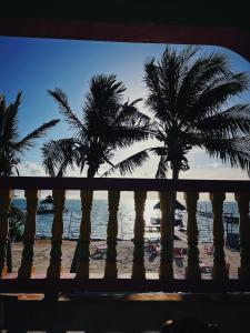 a view from a balcony of a beach with palm trees at Barefoot Beach Belize in Caye Caulker