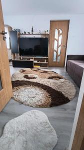 een woonkamer met een televisie en een tapijt bij Casa Bianchi Vatra Dornei in Vatra Dornei