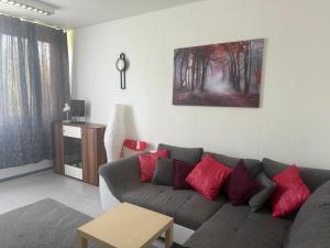 a living room with a gray couch with red pillows at Ferienwohnung Mainz Bahnhof in Mainz