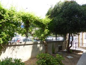 a concrete wall with trees in front of a building at House Of Poetry in Brindisi