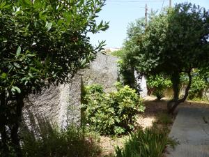 a garden with trees and a stone wall at House Of Poetry in Brindisi