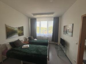a hotel room with two beds and a television at Ferienwohnung Mainz Bahnhof in Mainz
