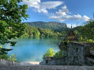 uitzicht op een meer met bergen op de achtergrond bij Rose 8 Bled in Bled