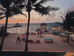 a beach with chairs and umbrellas and the ocean at Barefoot Beach Belize in Caye Caulker