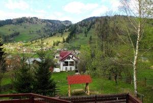 ein Haus inmitten eines grünen Hügels in der Unterkunft Vila CETINA in Fundu Moldovei