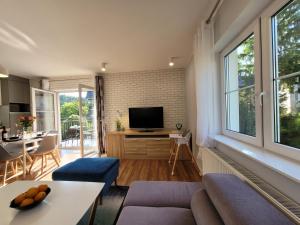 Televízia a/alebo spoločenská miestnosť v ubytovaní Apartament Juzo Villa Mountain View