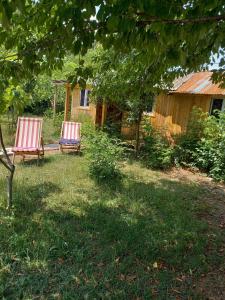 Zahrada ubytování Mera Hostel