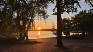 ein Sonnenuntergang über einem Gewässer mit Bäumen in der Unterkunft Przystań Ostróda - pokoje i apartamenty in Ostróda