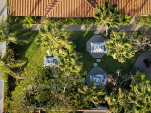 an overhead view of palm trees and chairs at The Milo in Santa Barbara