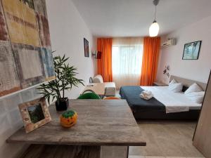 a living room with a bed and a table with a pumpkin at Geo Studios in Saturn