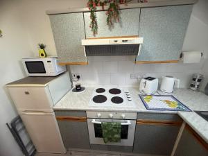 ファーナムにあるFlat in Surreyのコンロと電子レンジのある小さなキッチン +13枚の写真
