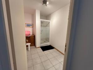 a bathroom with a walk in shower and a sink at Gîte de l'hortensia-Charmante maison de campagne au calme in Gourville +13 photos